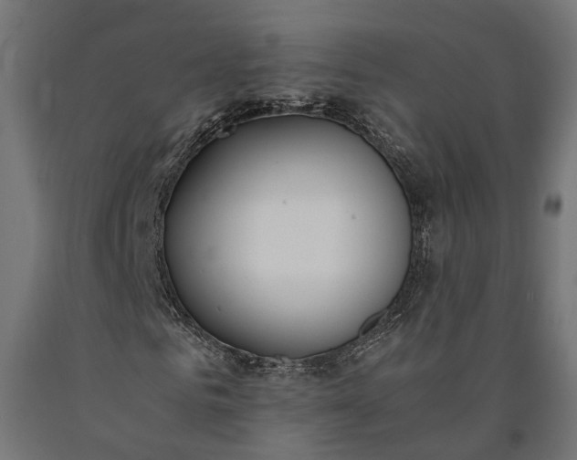 X0000090740961200708031542