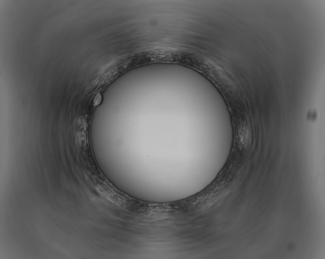 X0000090740964200708031542