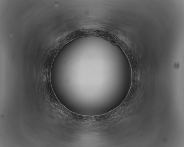 X0000090740965200708031542