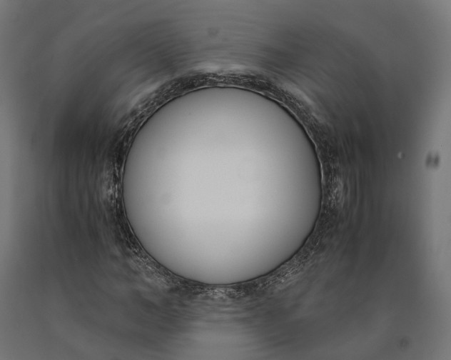 X0000090740966200708031542