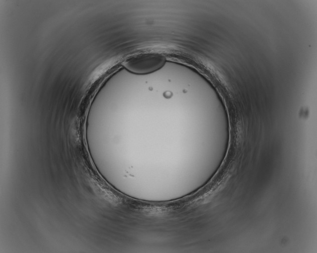 X0000090740970200708031542