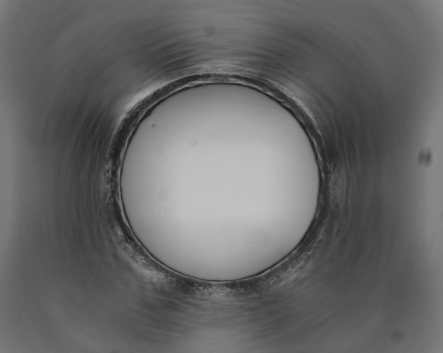 X0000090740971200708031542