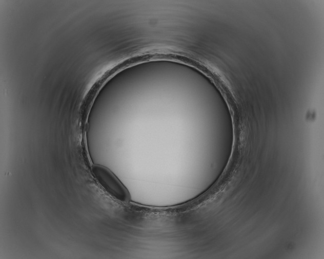 X0000090740973200708031542