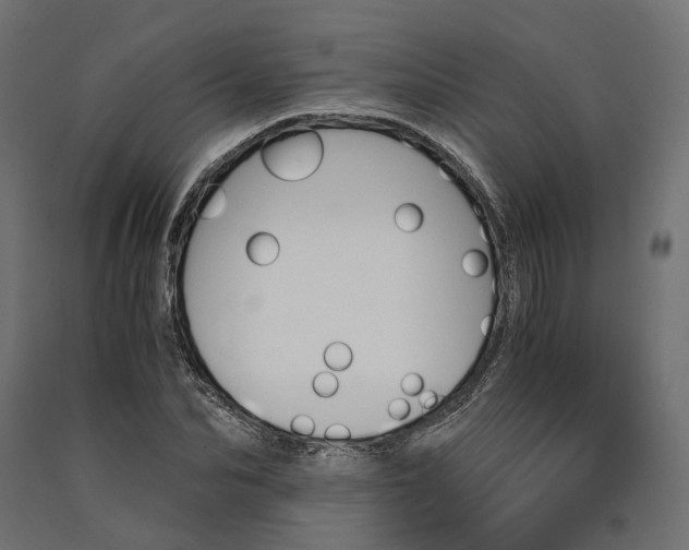 X0000090740974200708031542