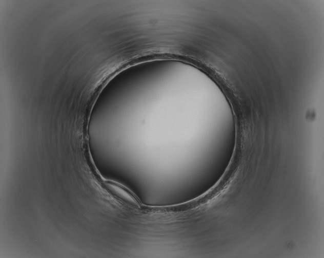 X0000090740977200708031542