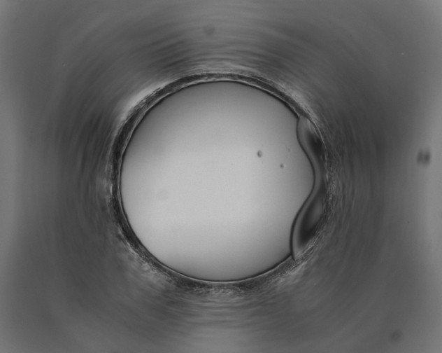 X0000090740979200708031542