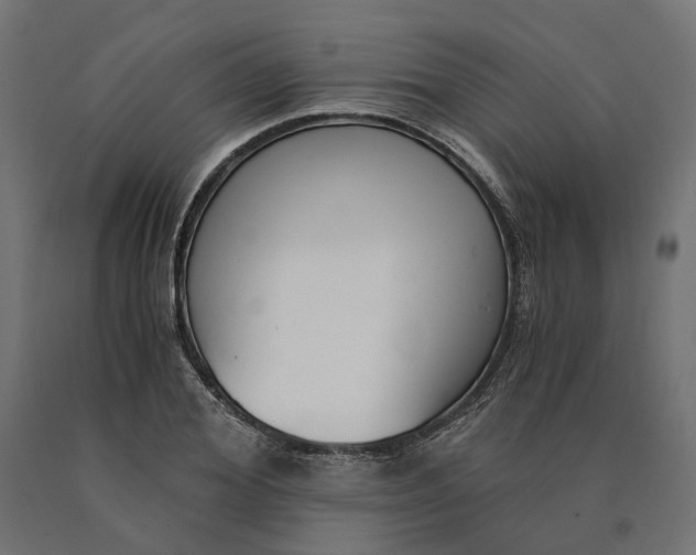 X0000090740980200708031542