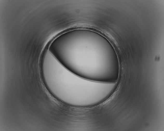 X0000090740981200708031542