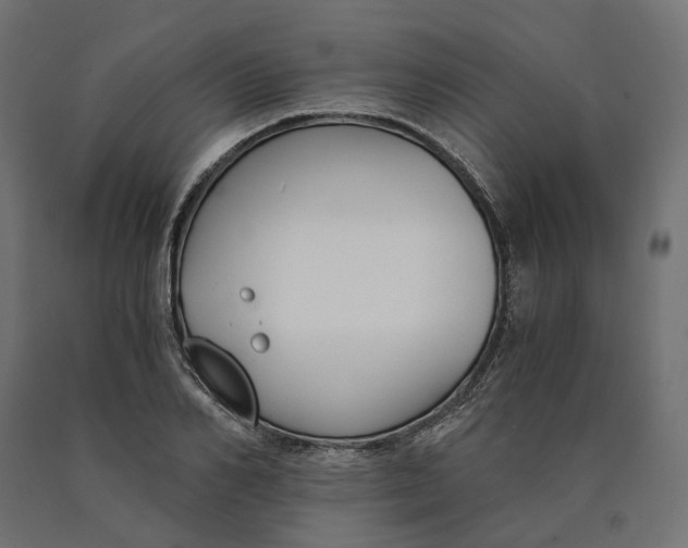 X0000090740982200708031542