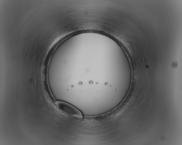 X0000090740983200708031542