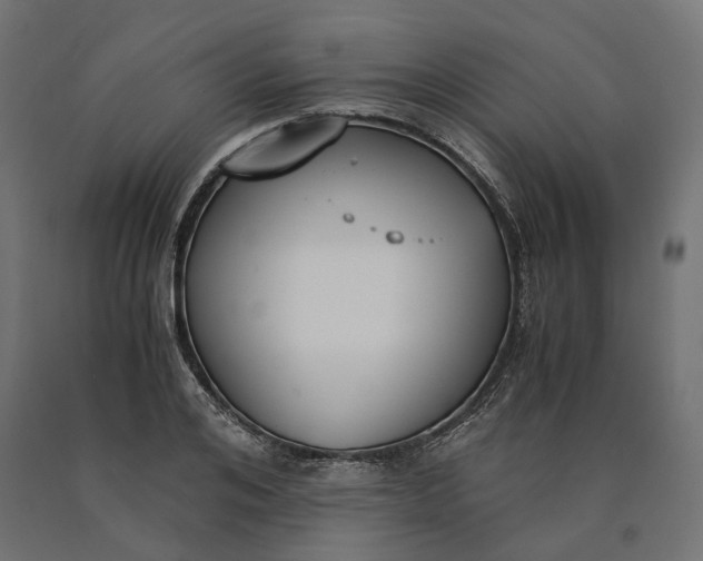 X0000090740984200708031542