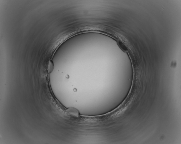 X0000090740985200708031542