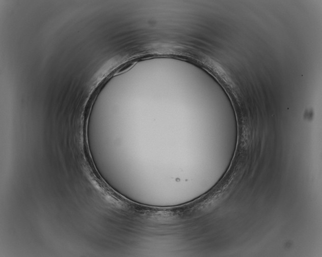 X0000090740986200708031542