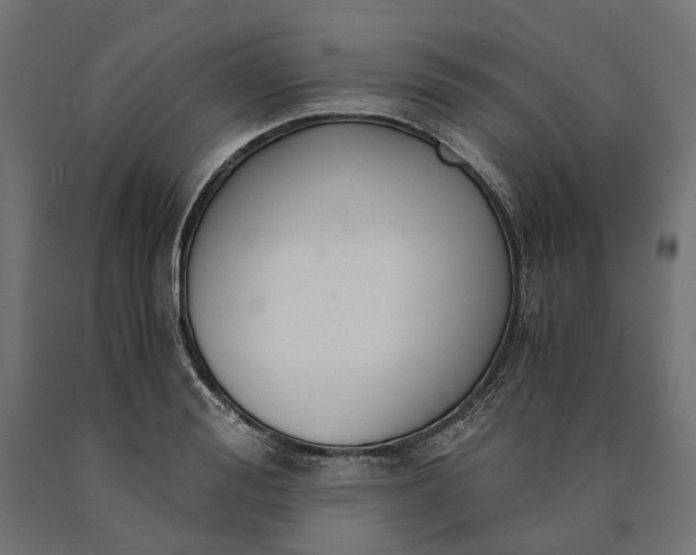 X0000090740988200708031542