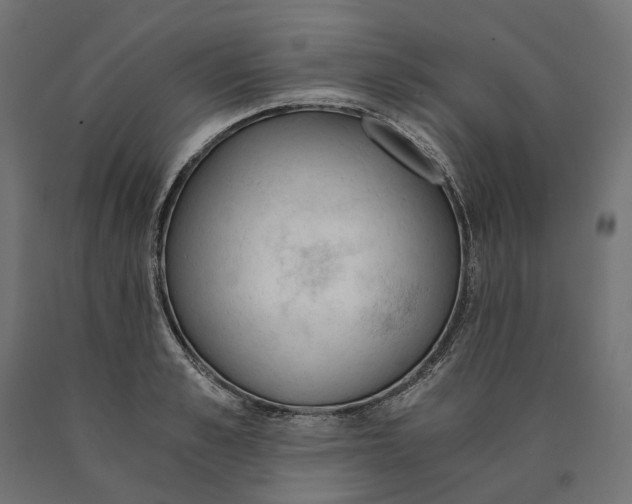 X0000090740989200708031542