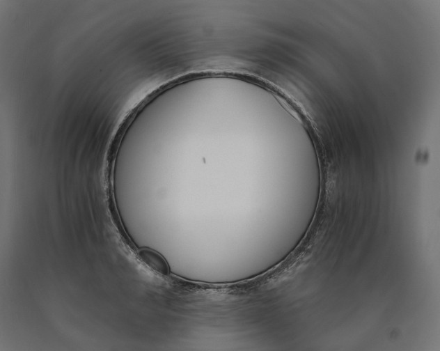 X0000090740990200708031542