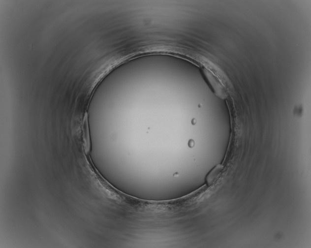 X0000090740993200708031542