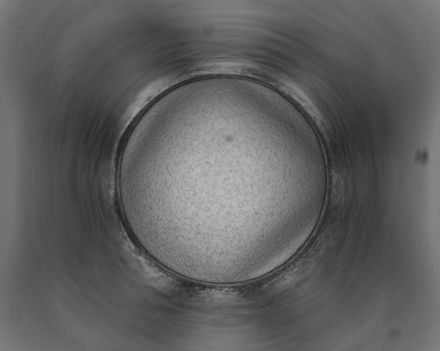 X0000090740994200708031542