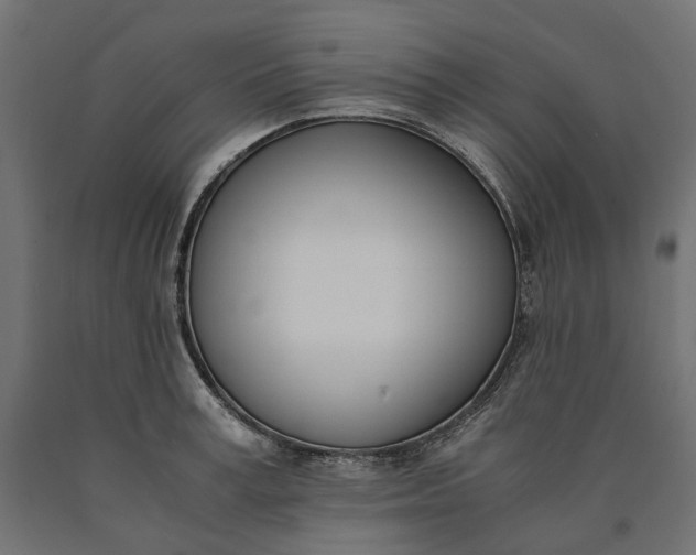 X0000090740995200708031542