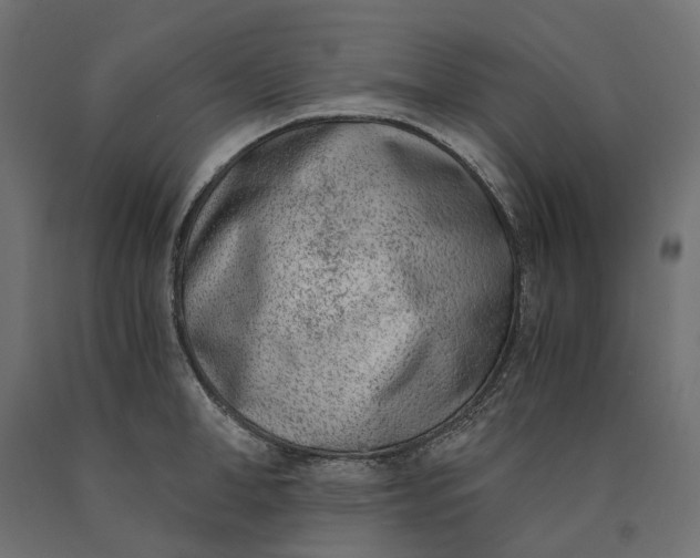 X0000090740998200708031542