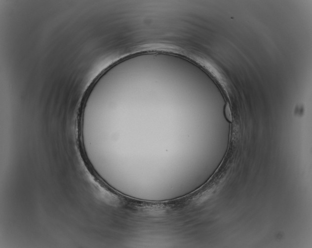 X0000090740999200708031542