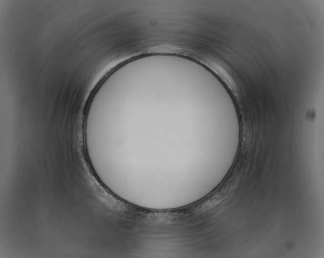 X0000090741000200708031542