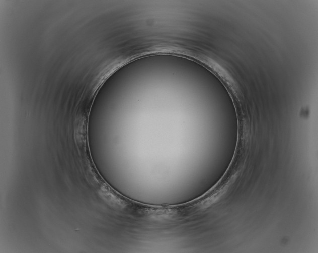 X0000090741001200708031542