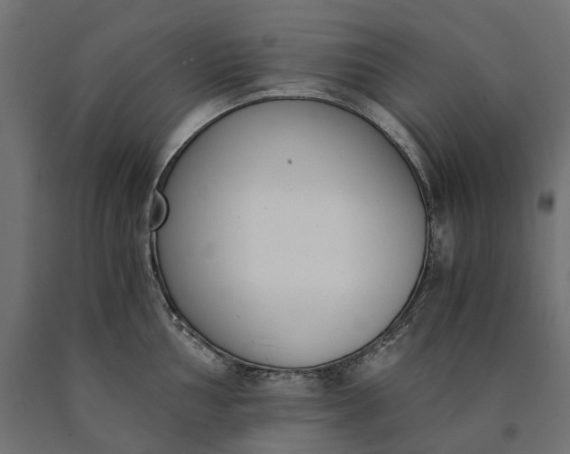 X0000090741002200708031542