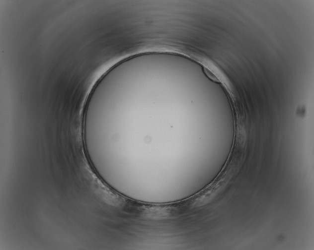 X0000090741004200708031542