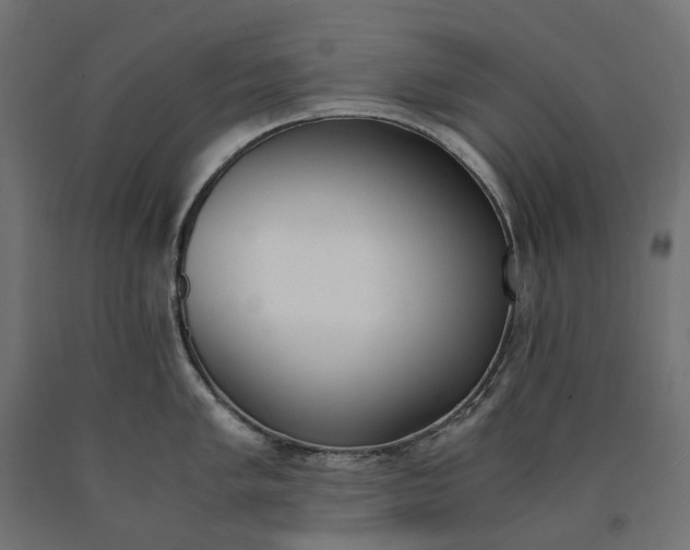 X0000090741005200708031542