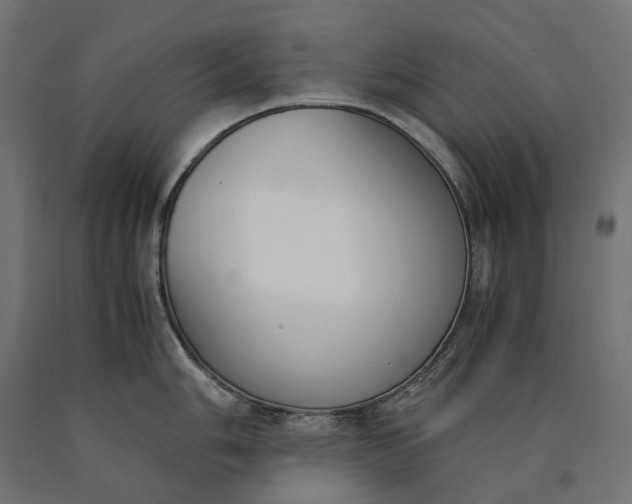 X0000090741006200708031542