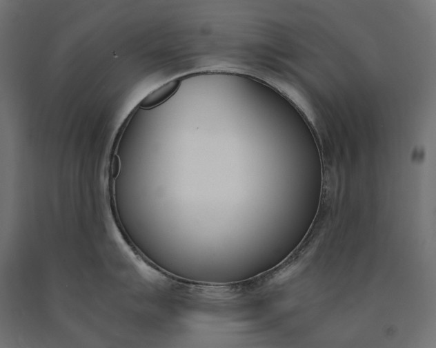 X0000090741007200708031541