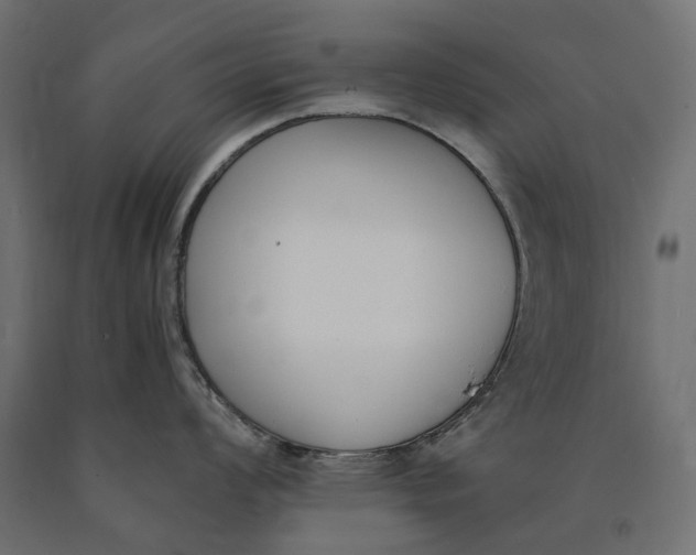 X0000090741008200708031541