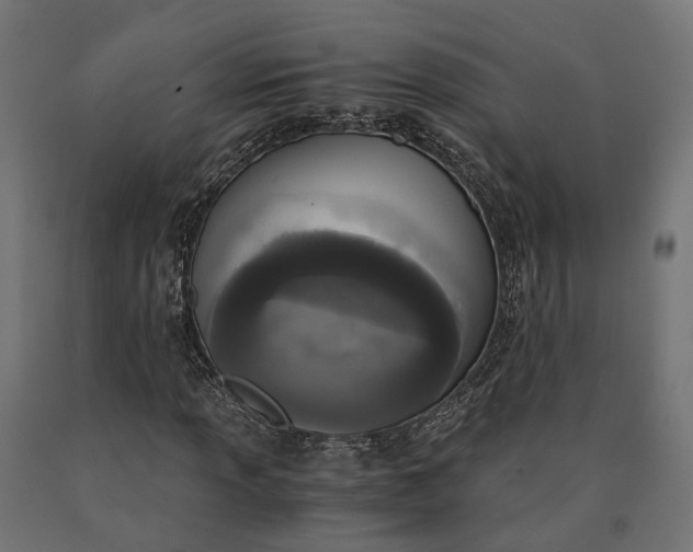 X0000090741013200708031541