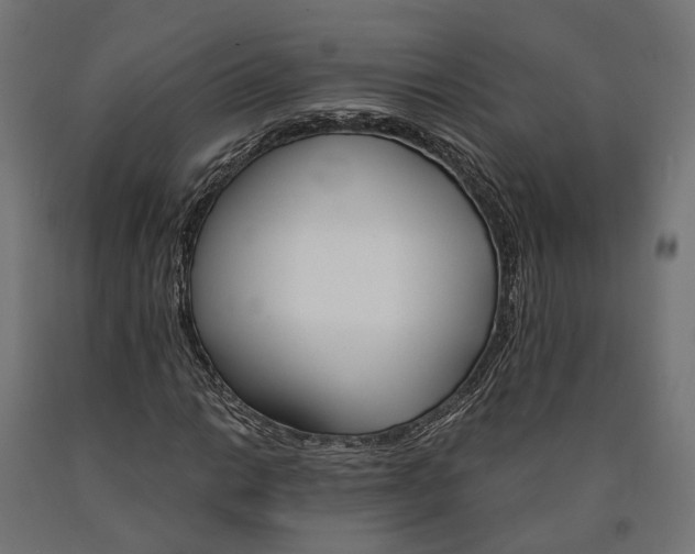 X0000090741014200708031541