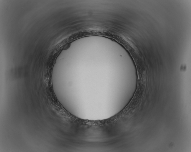 X0000090741015200708031541