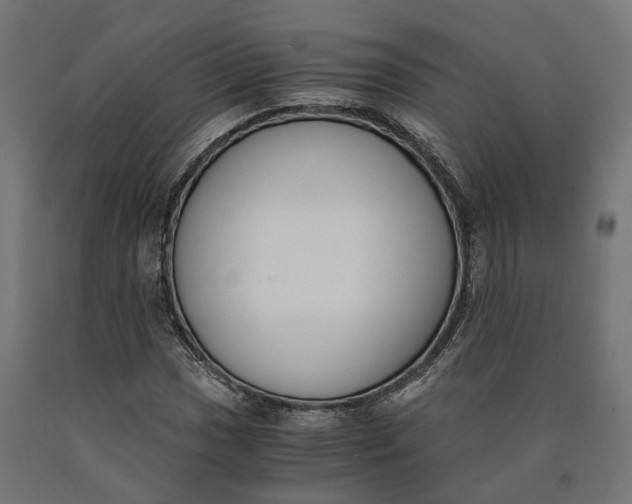 X0000090741017200708031541