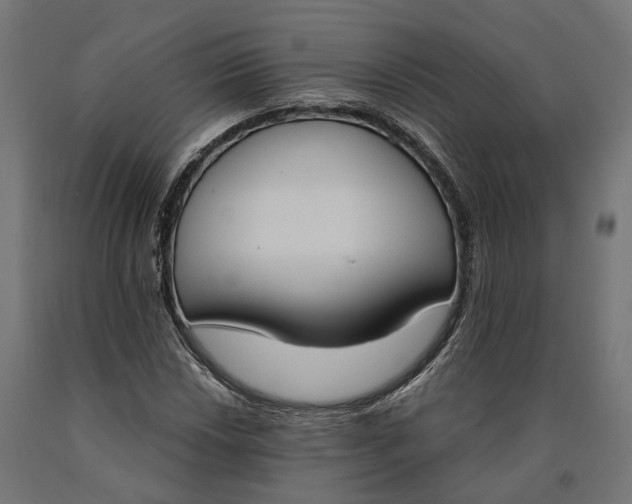 X0000090741018200708031541