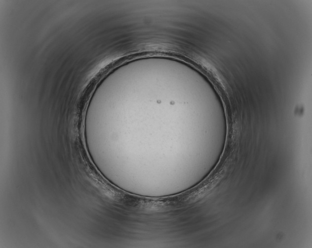 X0000090741019200708031541