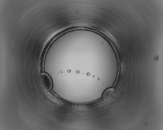 X0000090741020200708031541