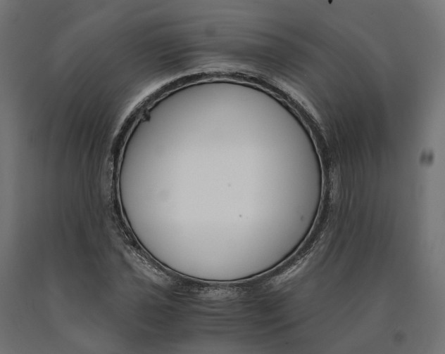 X0000090741021200708031541