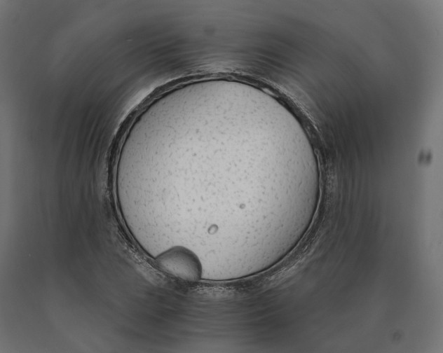 X0000090741023200708031541