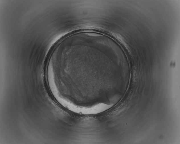 X0000090741024200708031541