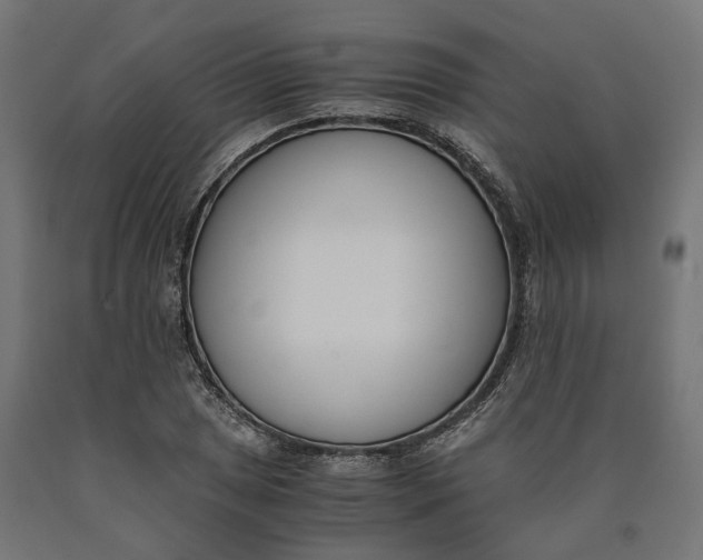 X0000090741025200708031541