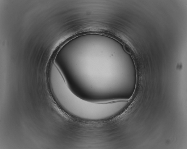 X0000090741026200708031541