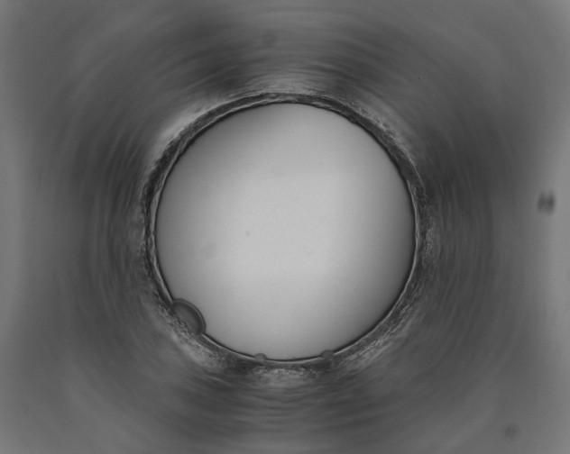 X0000090741027200708031541