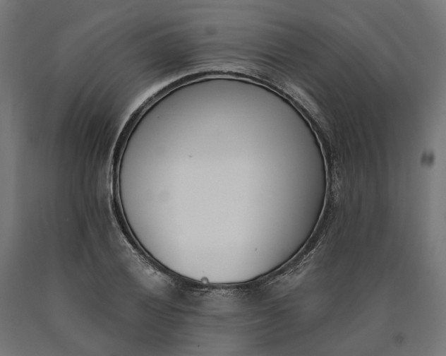 X0000090741028200708031541