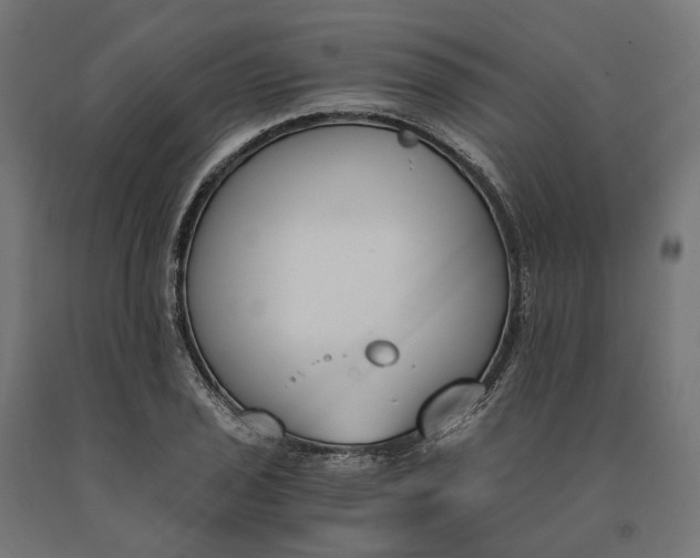 X0000090741029200708031541