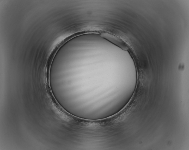 X0000090741030200708031541