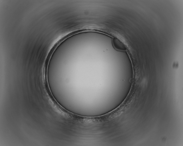 X0000090741032200708031541